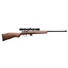 Image 1 : **Marlin Model 25MN bolt action rifle, .22  WMR caliber, serial #10731184.