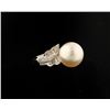 Image 2 : One 18 white gold classic pearl and diamond  ring. Fine pearl 12mm surround