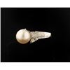 Image 3 : One 18 white gold classic pearl and diamond  ring. Fine pearl 12mm surround