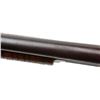 Image 3 : **Marlin Model 19 pump action shotgun, 12  gauge, 30&#8221; barrel, S/N 90771, bl