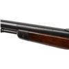 Image 3 : **Winchester Model  03 semi-automatic rifle,  .22 caliber, 20&#8221; round barrel