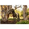 Image 1 : Cast bronze pony. Measures 55&quot; in height by  57&quot;. Est.: $750-$1500