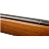 Image 3 : *J.C. Higgins Model 583.16, 12 gauge, 28.5&#8221;  barrel, no visible S/N, blued