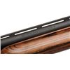 Image 5 : *Remington Model 870 Express Magnum pump  action shotgun, 20 gauge, 28&#8221; ven