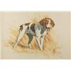 Image 1 : Framed print of Britney Spaniel by Elliott,  approx. 21&#8221; x 27&#8221;; nicely acco