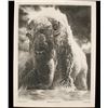 Image 1 : Laser etching of buffalo in winter on white  corian board with stand, appro