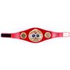 Image 1 : Mike Tyson Signed IBF High Quality Replica Full-Size Belt (JSA COA)