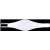Image 4 : Mike Tyson Signed IBF High Quality Replica Full-Size Belt (JSA COA)