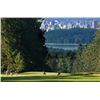 Image 2 : Capilano Golf and Country Club foursome for golf