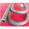 Image 3 : 19th Century Military Horn