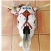 Image 1 : Painted Steer Skull