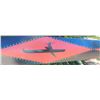 Image 9 : NWC Canoe Paddle