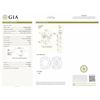 Image 2 : GIA/CUSHION/FANCY-CLR/SI1/1.02ct