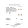 Image 3 : 9.00ctw Diamond Earrings - 18KT Yellow Gold