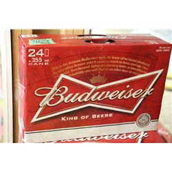 CASE OF 24 CANS OF BUDWEISER BEER