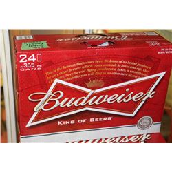 CASE OF 24 CANS OF BUDWEISER BEER
