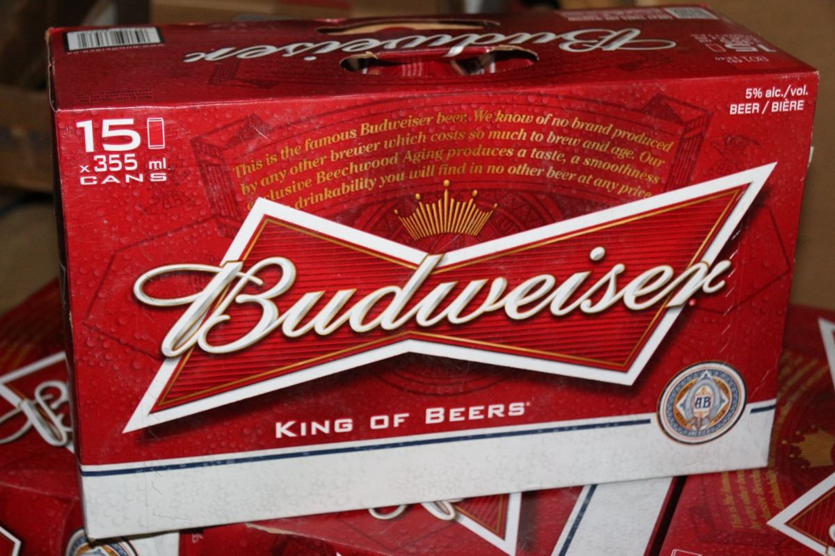 2 CASES OF BUDWEISER BEER