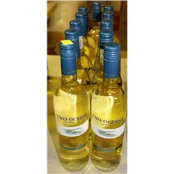 11 BOTTLES OF 750ML OF TWO OCEANS SAUVIGNON BLANC