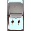 Image 3 : 14kt Gold Garnet Earrings