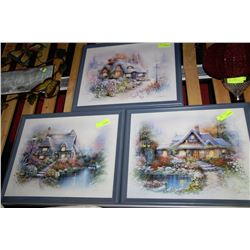 SET OF 3 FRAMED PICTURES