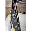 Image 1 : SNOW SHOES & WALKING STICKS