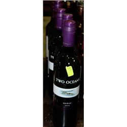 SIX 750ML BOTTLES OF TWO OCEAN SHIRAZ