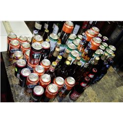 LARGE ASSORTMENT OF BEERS