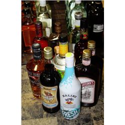 ELEVEN BOTTLES OF ASSORTED LIQUORS AND LIQUEURS