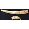 Image 1 : Scrimshaw Items