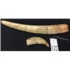Image 2 : Scrimshaw Items