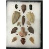 Image 2 : Group of 15 Arrowheads in Shadowbox.