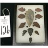 Image 2 : Group of 11 Arrowheads in Shadowbox.