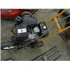 Image 2 : Scag Commercial Edger