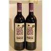 Image 1 : 2 BOTTLES OF PAINTED TURTLE SHIRAZ RED WINE