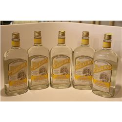 5 BOTTLES OF DR.MCGILLICUDDY'S LEMON DROP LIQUEUR