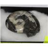 Image 1 : BLACK & WHITE AMMOLITE FOSSIL SPECIMEN  24.3