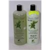 Image 1 : OLIVE'S BEST SHAMPOO & CONDITIONER SET