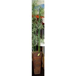LARGE SHOWHOME BAMBOO FLOOR PLANT