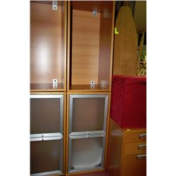 2 DOOR CABINET