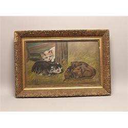 Victorian Oil on Panel Puppies & Kittens
