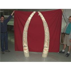 Pair of Oriental Carved Bone Tusks