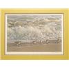 Image 2 : Bateman Print  Suft and Sanderlings