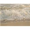 Image 3 : Bateman Print  Suft and Sanderlings