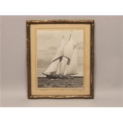 Original Photograph Blue Nose 1931