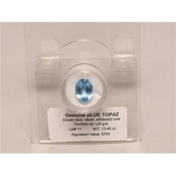 Blue Topaz  Ocean Blue  13.45 ct