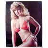 Image 1 : Large 1990 Swimsuit Pin-Up - Blonde NANCIE JAKOBSON