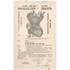 Image 2 : Vintage Trade Card DR. WARNER'S CORALINE HEALTH CORSET