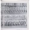 Image 2 : 1993 Book ZIEGFELD TOUCH: LIFE AND TIMES OF ZIEGFELD