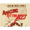 Image 2 : Armadillo World HQ Amazing Rhythm Aces Poster