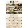 Image 1 : Belton Postcard Collection